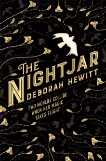 The Nightjar, Paperback / softback Book The Nightjar, Paperback / softback Book
