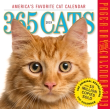 2019 365 Cats Colour Page-A-Day Calendar, Calendar Book 2019 365 Cats Colour Page-A-Day Calendar, Calendar Book
