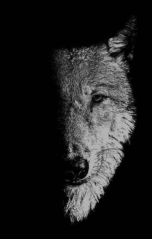 In the Company of Wolves : Werewolves, Wolves and Wild Children