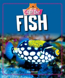Fact Cat: Animals: Fish, Paperback / softback Book Fact Cat: Animals: Fish, Paperback / softback Book