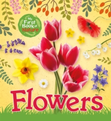 My First Book of Nature: Flowers, Paperback / softback Book My First Book of Nature: Flowers, Paperback / softback Book