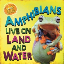 In the Animal Kingdom: Amphibians Live on Land and in Water