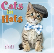 CATS IN HATS