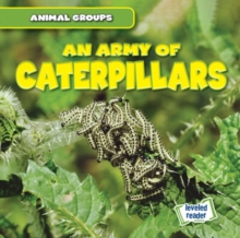 An Army of Caterpillars