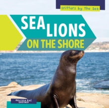 Sea Lions on the Shore