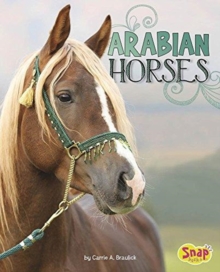 Arabian Horses, Paperback / softback Book Arabian Horses, Paperback / softback Book