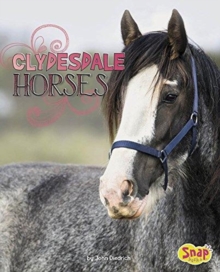 Thoroughbred Horses, Paperback / softback Book Thoroughbred Horses, Paperback / softback Book
