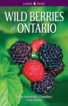 Wild Berries of Ontario, Paperback / softback Book Wild Berries of Ontario, Paperback / softback Book