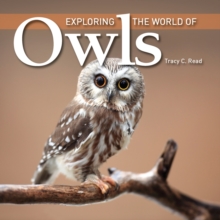 Exploring the World of Owls, Paperback Book Exploring the World of Owls, Paperback Book