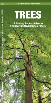 Trees : A Folding Pocket Guide to Familiar North American Species