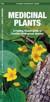 Medicinal Plants : A Folding Pocket Guide to Familiar Widespread Species