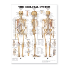 The Skeletal System Giant Chart Laminated : 42" x 62" chart, Poster Book The Skeletal System Giant Chart Laminated : 42" x 62" chart, Poster Book