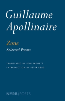 Zone, Paperback / softback Book Zone, Paperback / softback Book