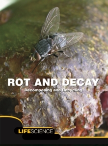 Rot and Decay : Decomposing And Recycling