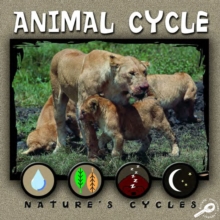 Animal Cycle