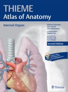 Internal Organs (THIEME Atlas of Anatomy), Paperback / softback Book Internal Organs (THIEME Atlas of Anatomy), Paperback / softback Book