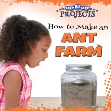 How to Make an Ant Farm