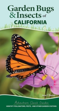 Garden Bugs & Insects of California : Identify Pollinators, Pests, and Other Garden Visitors