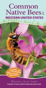 Common Native Bees of the Western United States : Your Way to Easily Identify Bees and Look-Alikes
