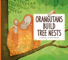 Orangutans Build Tree Nests : Animal Builders
