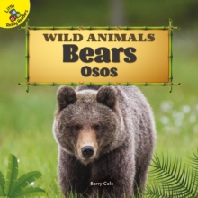 Bears : Osos