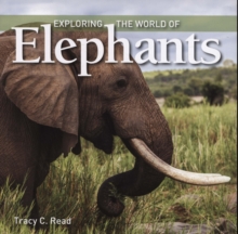 Exploring the World of Elephants, Paperback / softback Book Exploring the World of Elephants, Paperback / softback Book