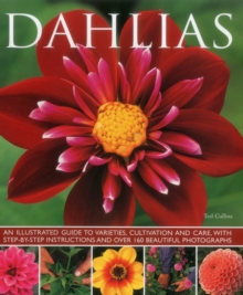 Dahlias, Paperback Book Dahlias, Paperback Book