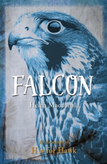Falcon, Paperback Book Falcon, Paperback Book