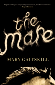 The Mare, Hardback Book The Mare, Hardback Book