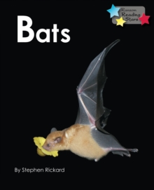 Bats, Paperback / softback Book Bats, Paperback / softback Book