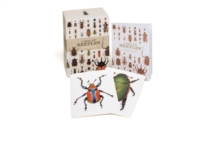 A Box of Beetles : 100 Beautiful Postcards, Postcard book or pack Book A Box of Beetles : 100 Beautiful Postcards, Postcard book or pack Book