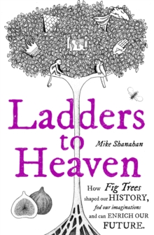 Ladders to Heaven, Hardback Book Ladders to Heaven, Hardback Book
