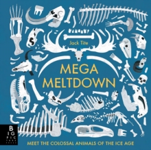 Mega Meltdown, Hardback Book Mega Meltdown, Hardback Book
