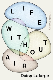 Life Without Air, Paperback / softback Book Life Without Air, Paperback / softback Book