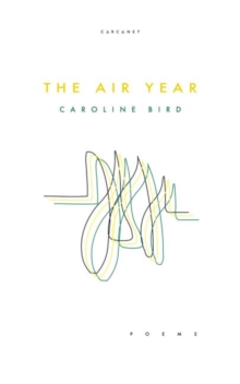 The Air Year, Paperback / softback Book The Air Year, Paperback / softback Book