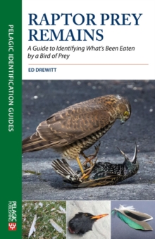 Raptor Prey Remains : A Guide to Identifying What's Been Eaten by a Bird of Prey