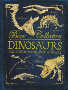 Bone Collections: Dinosaurs, Paperback Book Bone Collections: Dinosaurs, Paperback Book