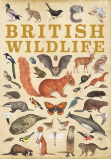 British Wildlife, Hardback Book British Wildlife, Hardback Book