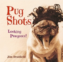 Pug Shots, Hardback Book Pug Shots, Hardback Book