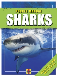 Sharks : Pocket Manual, Paperback / softback Book Sharks : Pocket Manual, Paperback / softback Book