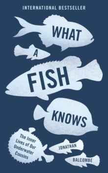 What a Fish Knows : The Inner Lives of Our Underwater Cousins, Paperback Book What a Fish Knows : The Inner Lives of Our Underwater Cousins, Paperback Book