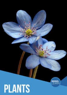 Discover and Learn: Plants, Hardback Book Discover and Learn: Plants, Hardback Book