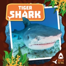 Tiger Shark : Teeth to Tail, Hardback Book Tiger Shark : Teeth to Tail, Hardback Book