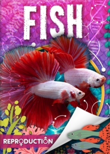 Fish, Hardback Book Fish, Hardback Book