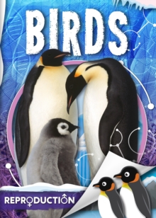Birds, Hardback Book Birds, Hardback Book