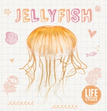 Jellyfish, Hardback Book Jellyfish, Hardback Book
