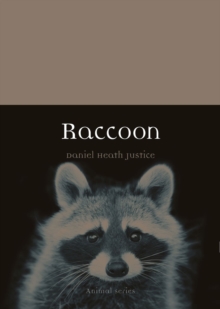 Raccoon