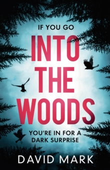 Into the Woods, Paperback / softback Book Into the Woods, Paperback / softback Book