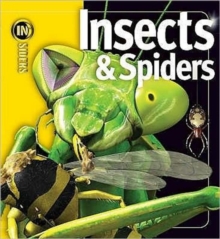 Insects and Spiders, Hardback Book Insects and Spiders, Hardback Book