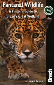 Pantanal Wildlife : A Visitor's Guide to Brazil's Great Wetland, Paperback Book Pantanal Wildlife : A Visitor's Guide to Brazil's Great Wetland, Paperback Book